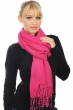 Cashmere & Silk accessories shawls platine raspberry 204 cm x 92 cm